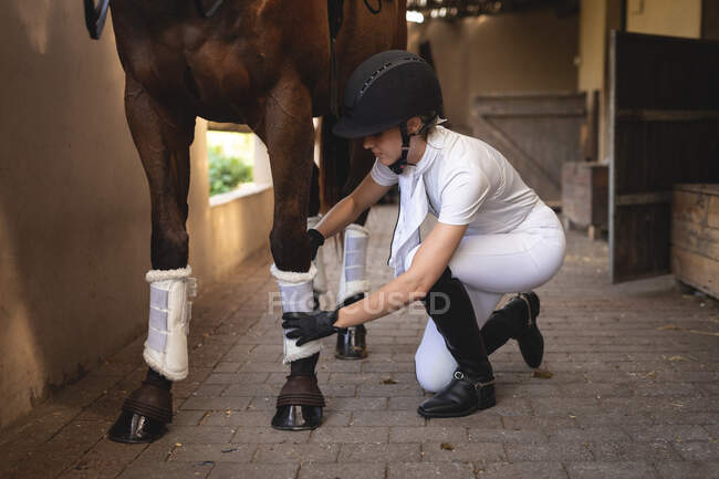 Side view of a casually dressed Caucasian female rider wearing a riding hat and riding boots, putting white pads on her chestnut horse legs. — Stock Photo