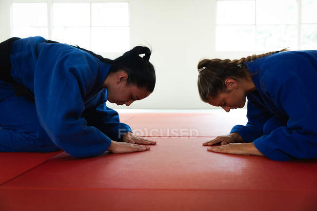 Vista lateral close-up de dois adolescentes focados judocas femininos multi-étnicos vestindo judogos azuis, ajoelhados e curvando-se em esteiras no ginásio antes do treinamento de judô. — Fotografia de Stock