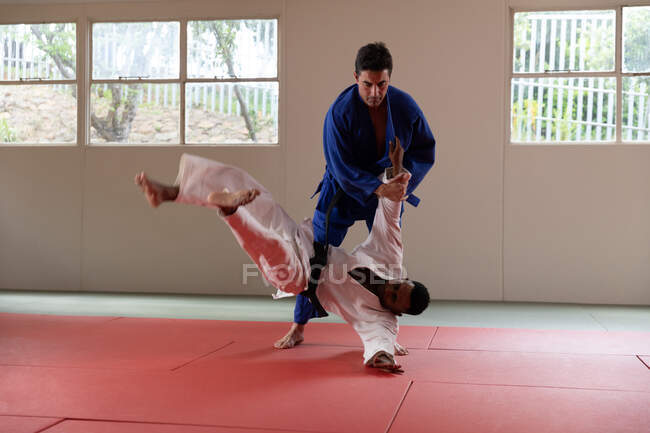 Vista lateral de un entrenador de judo masculino de raza mixta y judoka masculino de raza mixta adolescente, usando judogi azul y blanco, practicando judo durante un entrenamiento en un gimnasio. - foto de stock