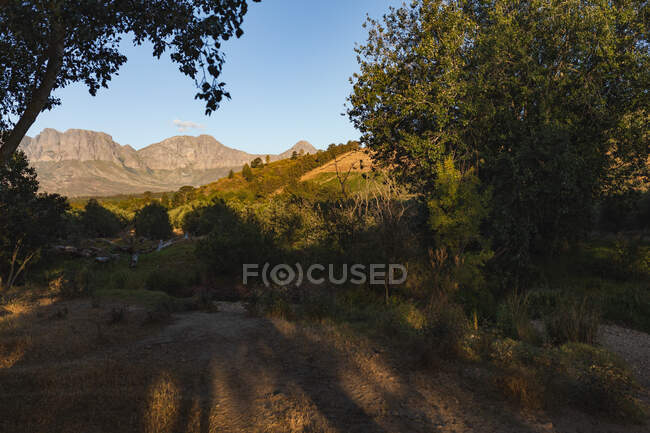 Vista generale delle montagne in una giornata di sole con paesaggi di campagna mozzafiato cielo blu e alberi. Ecologia e responsabilità sociale in ambiente rurale. — Foto stock
