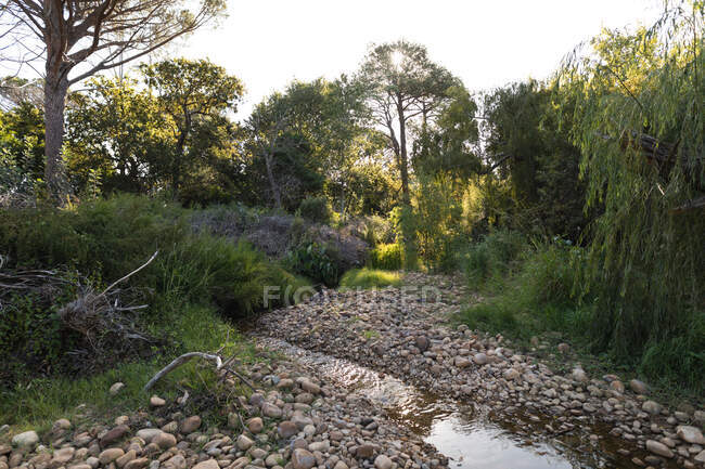 General view of river with rocks surrounded by forest on a sunny day with stunning countryside scenery. Ecology and social responsibility in a rural environment. — Stock Photo