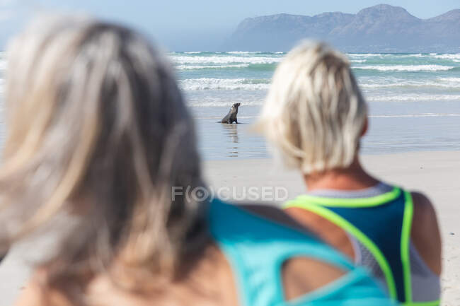 Dos amigas caucásicas mayores disfrutando de hacer ejercicio en una playa en un día soleado, de pie y mirando a la foca en la orilla del mar. - foto de stock