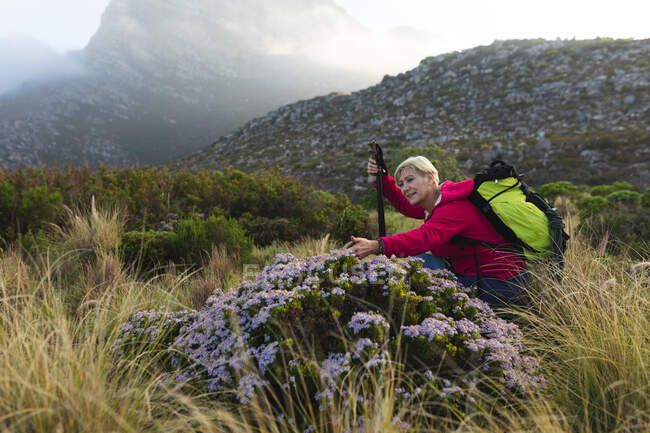 Mulher sênior passando tempo na natureza, andando nas montanhas, tocando flores. atividade de aposentadoria saudável. — Fotografia de Stock