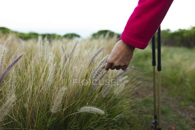 Mujer pasar tiempo en la naturaleza, caminar por las montañas, tocar el trigo. - foto de stock
