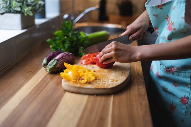 Gemischte Rasse Frau in der Küche Gemüse hacken. Selbst-Isolation Qualität Familienzeit zu Hause zusammen während Coronavirus covid 19 Pandemie. — Stockfoto