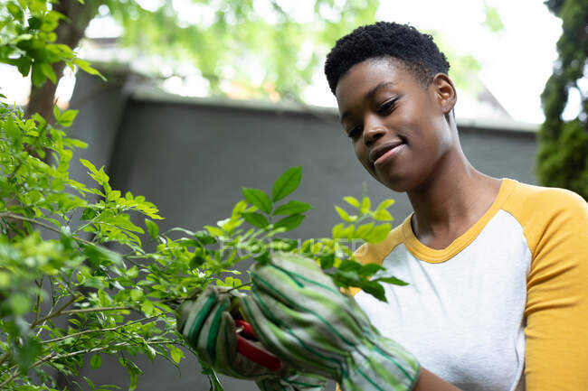 Afroamerikanerin mit Gartenhandschuhen, die Pflanzen im Garten berühren. Selbstisolierung in Quarantäne — Stockfoto