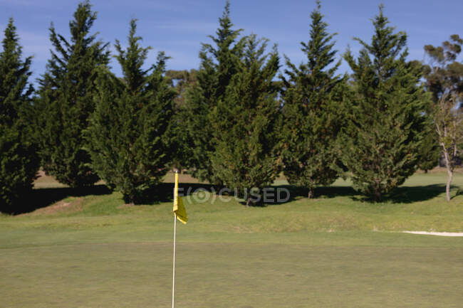 Bandeira amarela no verde num campo de golfe. esporte lazer hobbies golfe saudável ao ar livre estilo de vida. — Fotografia de Stock