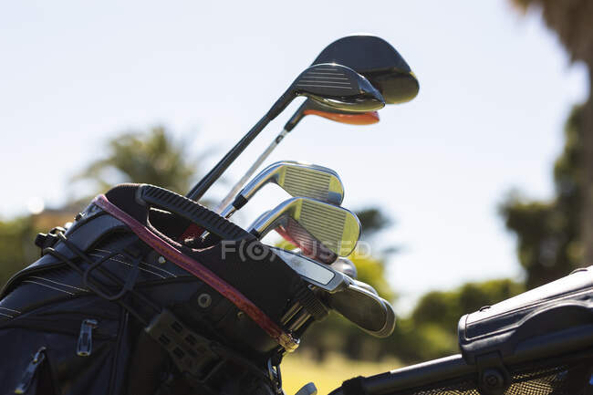 Clubes de golf brillantes de pie en una bolsa de golf en un día soleado. Golf deportes hobby, estilo de vida de jubilación saludable. - foto de stock