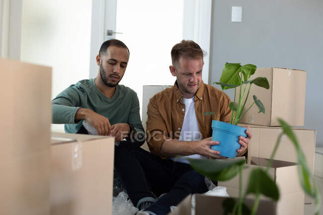 Pareja masculina gay multiétnica sentada rodeada de cajas y sosteniendo plantas en casa. disfrutando de tiempo en casa en auto aislamiento durante el bloqueo de cuarentena. - foto de stock