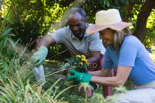 Diverse senior couple in garden transplanting flowers and smiling. staying at home in isolation during quarantine lockdown. — Stock Photo