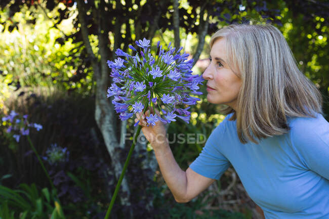 Retrato de mulher idosa caucasiana em flores cheirosas de jardim. ficar em casa em isolamento durante o confinamento de quarentena. — Fotografia de Stock