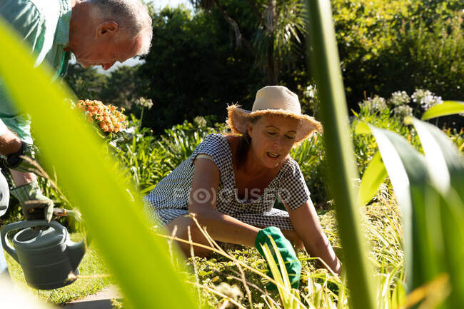 Heureux caucasien couple aîné jardinage, tendant aux plantes dans le jardin ensoleillé. rester à la maison dans l'isolement pendant le confinement en quarantaine. — Photo de stock