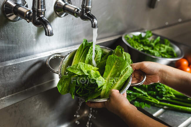 Close up de mãos de pessoa lavando alface romana com água. trabalhando em uma cozinha restaurante ocupado. — Fotografia de Stock