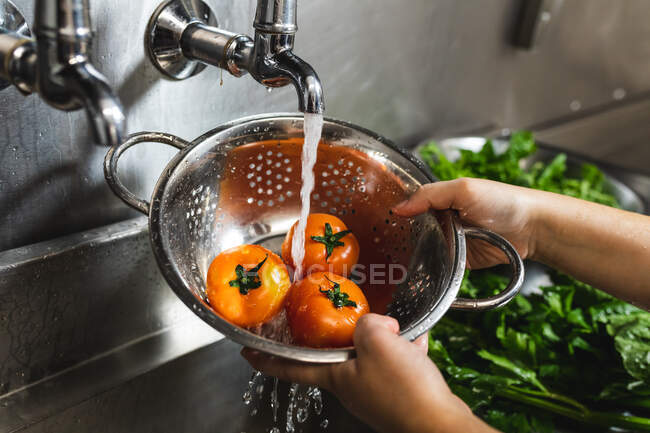El primer plano de las manos de la persona lavando los tomates con el agua. trabajando en una cocina ajetreada. - foto de stock
