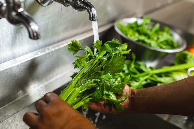 Close up of hands of person washing celery with water. working in a busy restaurant kitchen. — Stock Photo