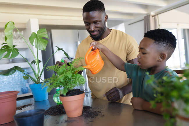 Padre e hijo afroamericanos en la cocina, regando plantas en casa en aislamiento durante el cierre de cuarentena. - foto de stock