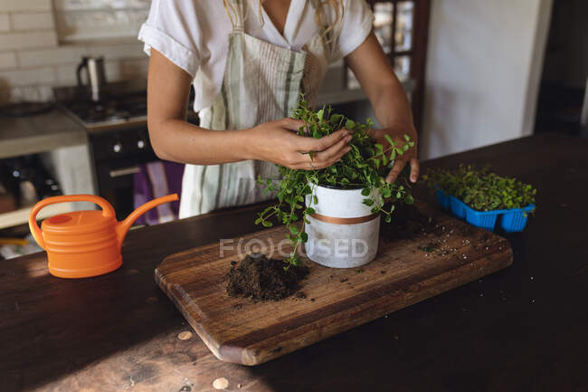 Середина кавказской женщины, выращивающей растения, стоящие в солнечной коттеджной кухне. здоровый образ жизни, рядом с природой в вне сетки сельских домов. — стоковое фото