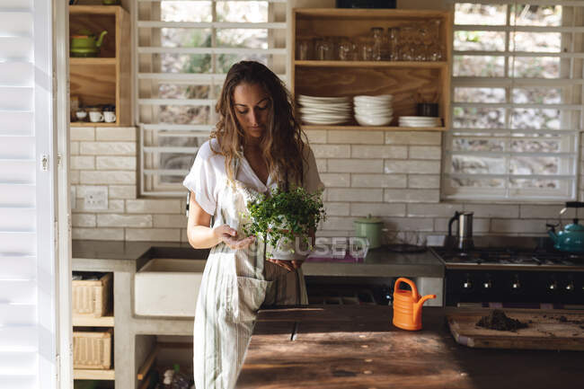 Femme caucasienne tendant à la plante en pot debout dans la cuisine de chalet ensoleillée. mode de vie sain, proche de la nature dans la maison rurale hors réseau. — Photo de stock