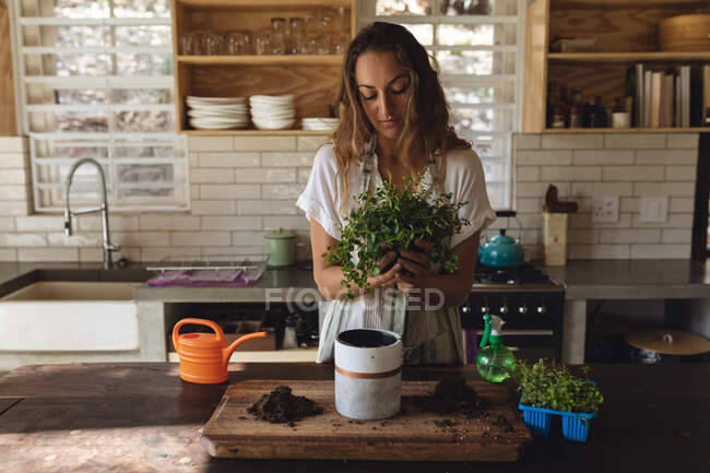 Mujer caucásica macetas plantas de pie en la cocina soleada casa de campo. vida sana, cerca de la naturaleza en el hogar rural fuera de la red. - foto de stock