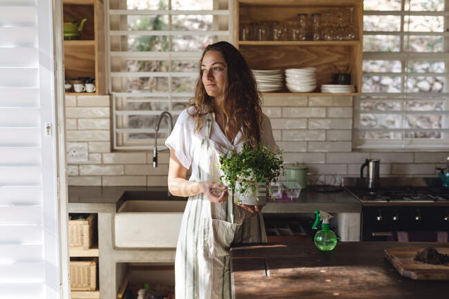 Счастливая кавказская женщина, ухаживающая за растением в горшке, стоящим в солнечной коттеджной кухне и смотрящая в сторону. здоровый образ жизни, рядом с природой в вне сетки сельских домов. — стоковое фото