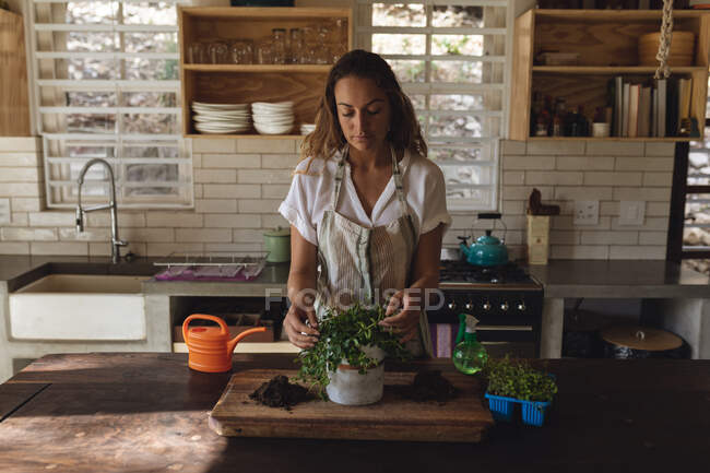 Femme caucasienne tendant aux plantes en pot debout dans la cuisine de chalet ensoleillée. mode de vie sain, proche de la nature dans la maison rurale hors réseau. — Photo de stock