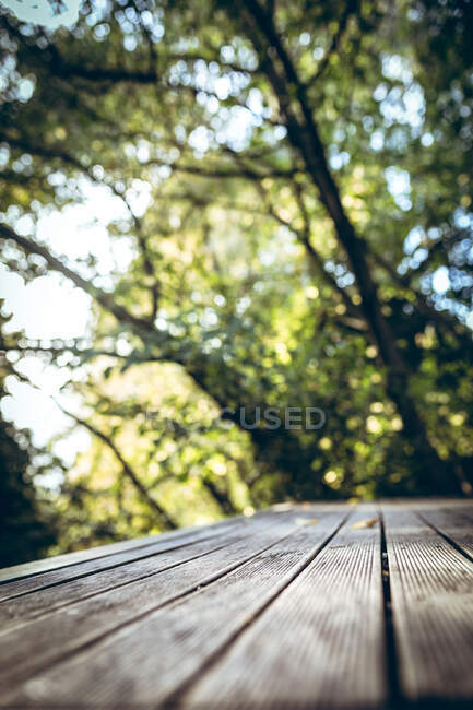 Primer plano de tablero de madera en terraza en jardín en día soleado. naturaleza y concepto de verano. - foto de stock