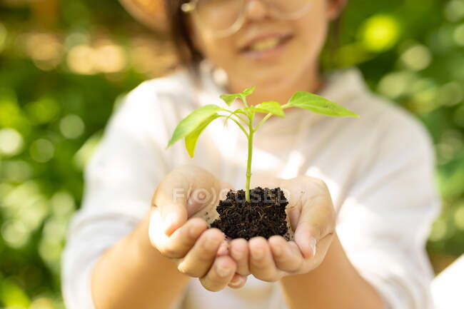 Sonriente chica asiática usando gafas y sosteniendo la planta en el jardín. en casa en aislamiento durante el bloqueo de cuarentena. - foto de stock