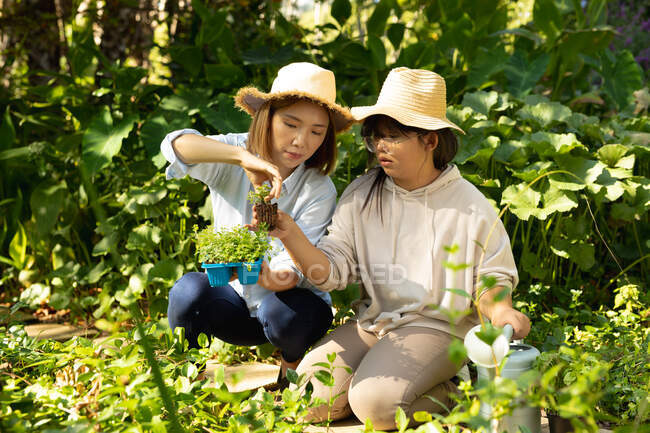 Femme asiatique avec sa fille dans des chapeaux de paille tenant des plantes dans le jardin. à domicile en isolement pendant le confinement en quarantaine. — Photo de stock