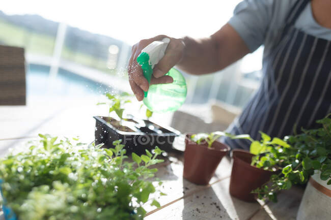 Woman gardening in living room. staying at home in isolation during quarantine lockdown. — Stock Photo