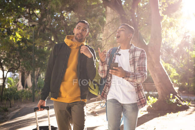 Zwei fröhliche Mischlingshündchen mit Gepäck spazieren durch den Stadtpark und unterhalten sich und nutzen das Smartphone. Rucksackurlaub, Städtereise. — Stockfoto