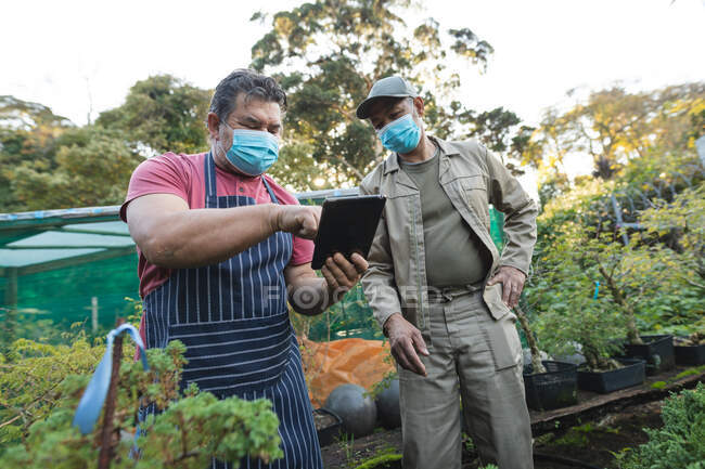 Diverse male gardeners wearing face masks using tablet at garden centre. specialists working at bonsai plant nursery, independent horticulture business during covid 19 pandemic. — Stock Photo