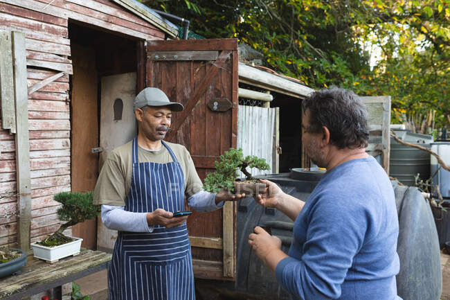 Два різноманітних чоловіки використовують безконтактні платежі в садовому центрі. спеціалісти, що працюють в розпліднику бонсайських рослин, незалежний садівничий бізнес . — стокове фото