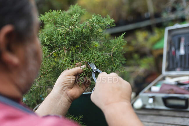 Großaufnahme eines kaukasischen Gärtners beim Baumfällen im Gartencenter. Fachkraft in der Bonsai-Gärtnerei, selbstständiger Gartenbaubetrieb. — Stockfoto