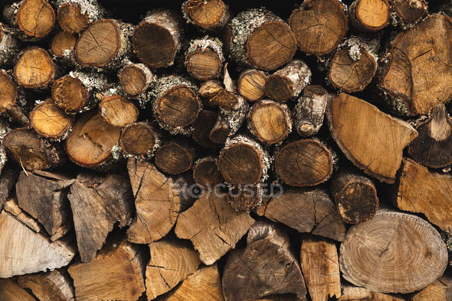 Close up of pile of cut and stacked multiple wooden logs outdoors. firewood and supplies. — Stock Photo
