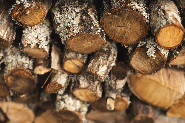 Закрыть кучу срезанных и сложенных в штабеля деревянных бревен наружу. дров и припасов. — стоковое фото