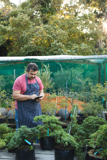 Кавказский садовник использует планшет в садовом центре. специалист, работающий в питомнике бонсай, независимый садоводческий бизнес. — стоковое фото