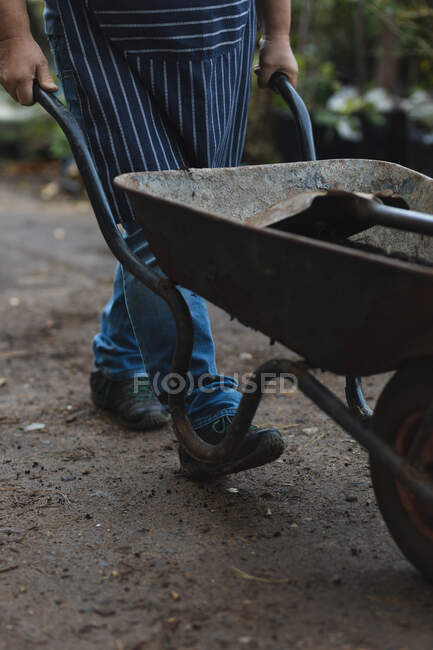 Midsection of male gardener using wheelbarrow at garden centre. specialist working at bonsai plant nursery, independent horticulture business. — Stock Photo