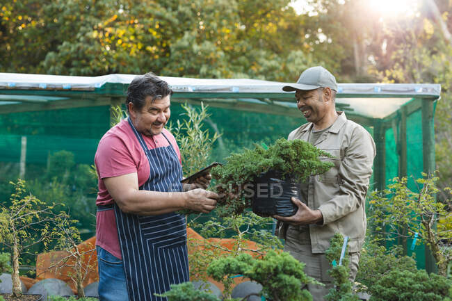 Due diversi giardinieri maschi si prendono cura delle piante e sorridono al centro del giardino. specialisti che lavorano presso vivaio bonsai, attività orticola indipendente. — Foto stock
