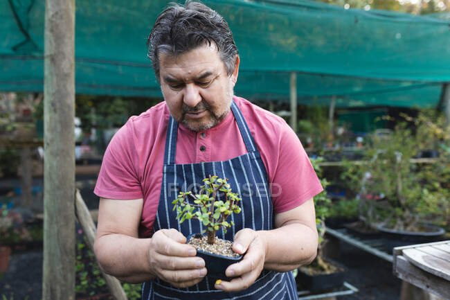 Jardinier masculin caucasien tenant pot avec plante au centre de jardin. spécialiste travaillant dans la pépinière de bonsaï, entreprise horticole indépendante. — Photo de stock