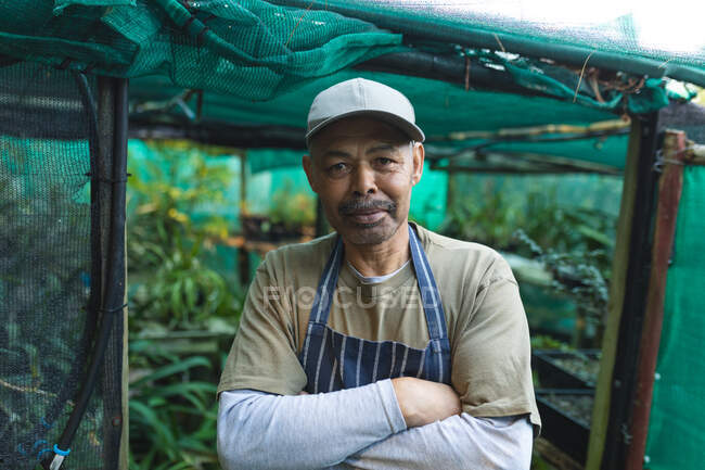 Retrato de jardineiro afro-americano com as mãos cruzadas olhando para a câmera no centro do jardim. especialista que trabalha no viveiro de plantas bonsai, negócio de horticultura independente. — Fotografia de Stock