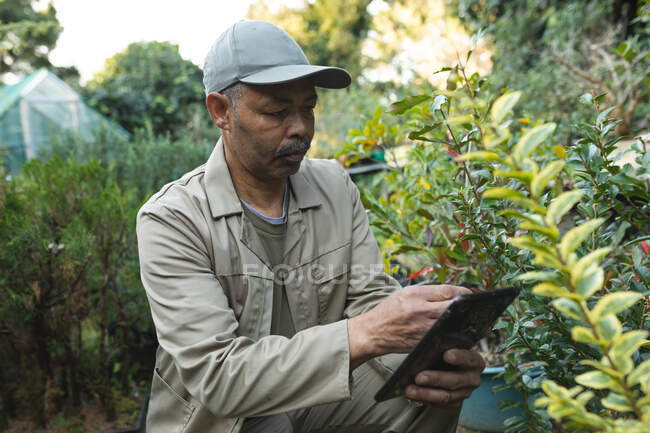 Jardinero masculino afroamericano usando tableta en el centro del jardín. especialista en vivero de plantas bonsái, empresa hortícola independiente. - foto de stock