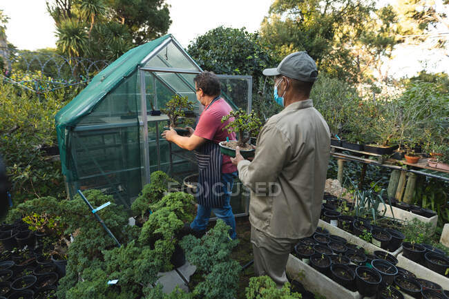 Rückansicht zweier unterschiedlicher Gärtner mit Gesichtsmasken, die Pflanzen im Gartencenter halten. Spezialisten in der Bonsai-Gärtnerei, unabhängiger Gartenbaubetrieb während der 19-jährigen Pandemie. — Stockfoto