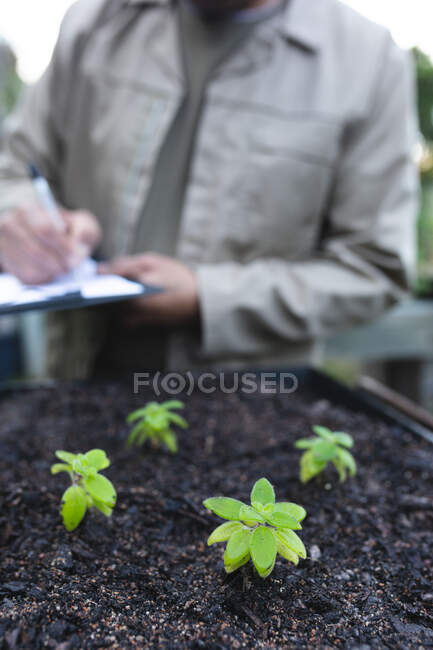 Jardineiro masculino verificando plantas e fazendo anotações no centro do jardim. especialista que trabalha no viveiro de plantas bonsai, negócio de horticultura independente. — Fotografia de Stock