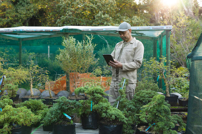 Африканский садовник-американец использует планшет в садовом центре. специалист, работающий в питомнике бонсай, независимый садоводческий бизнес. — стоковое фото