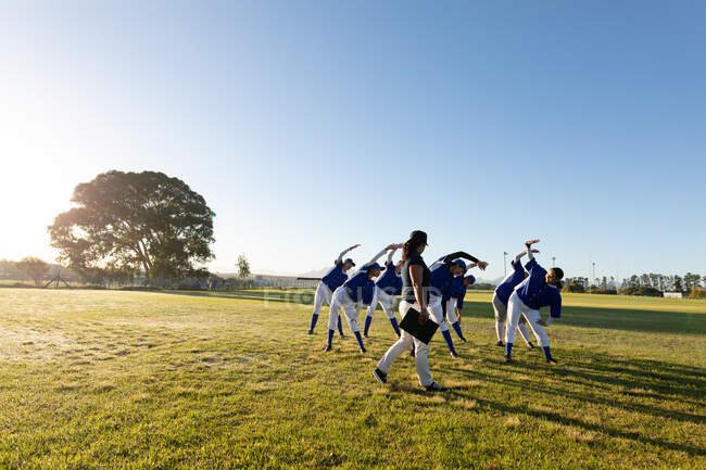 Разнообразная группа женщин-бейсболистов с тренером, разогревающимся в поле, растянувшись от пояса. женская бейсбольная команда, спортивные тренировки, сплоченность и приверженность. — стоковое фото