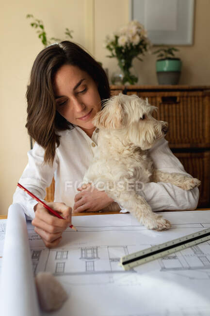 Arquitecta caucásica en sala de estar con su perro mascota, sentada a la mesa trabajando, dibujando planos. estilo de vida doméstico, disfrutando del trabajo remoto desde casa. - foto de stock