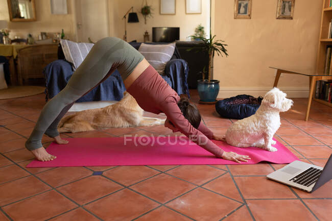 Femme caucasienne dans le salon avec ses chiens de compagnie, pratiquer le yoga, en utilisant un ordinateur portable. mode de vie domestique, profiter du temps libre à la maison. — Photo de stock