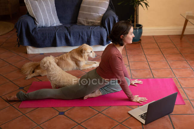 Белая женщина в гостиной со своими домашними собаками, практикует йогу, использует ноутбук. домашний образ жизни, наслаждаясь отдыхом дома. — стоковое фото