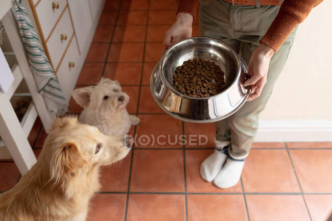 Woman in kitchen feeding her pet dogs. domestic lifestyle, enjoying leisure time at home. — Stock Photo