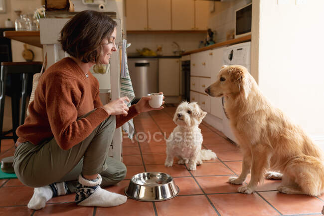 Усміхнена біла жінка на кухні годує домашніх собак. домашній спосіб життя, насолоджуючись дозвіллям вдома . — стокове фото